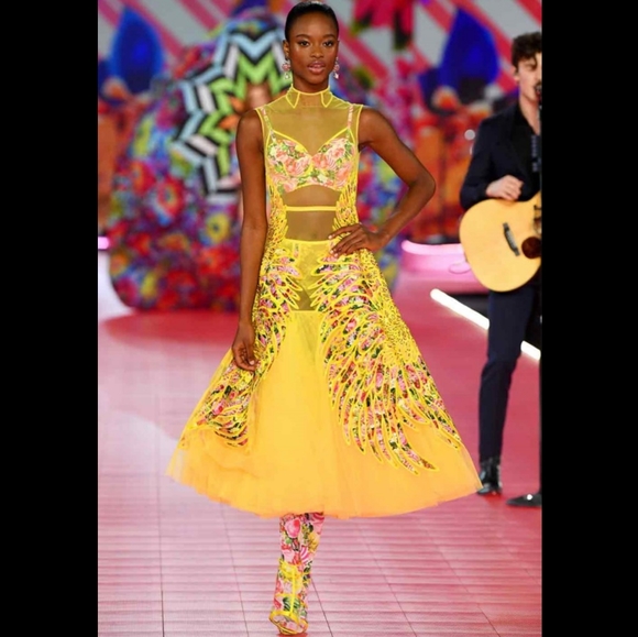 NWT Victoria's Secret 2018 Runway Panty - Picture 3 of 5